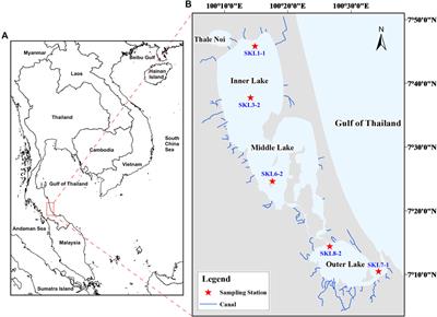 Sedimentary History of Trace Metals Over the Past Half-Century in Songkhla Lake, Western Coast of the Gulf of Thailand: Anthropogenic Impacts and Contamination Assessment